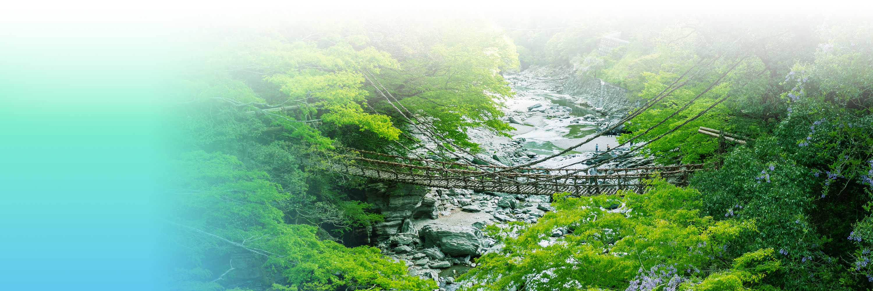 徳島県 祖谷のかずら橋