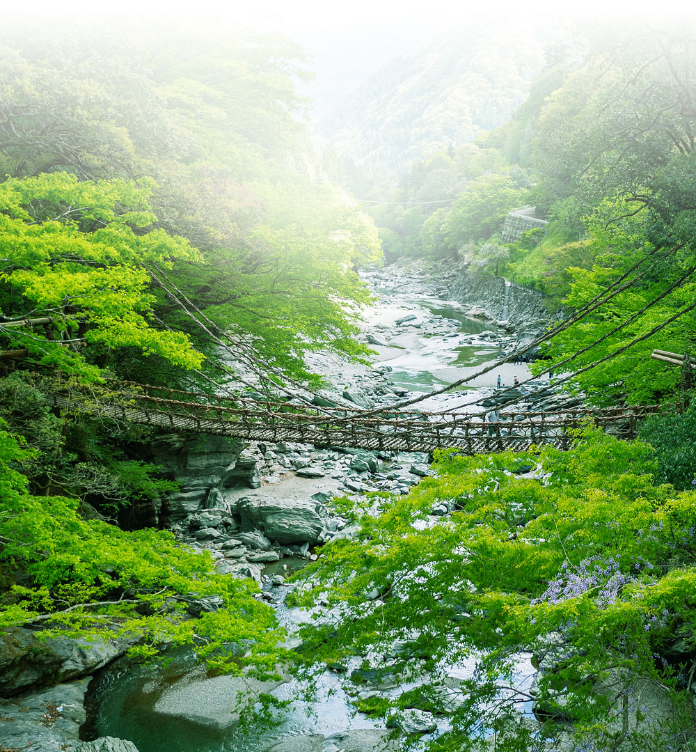 徳島県 祖谷のかずら橋